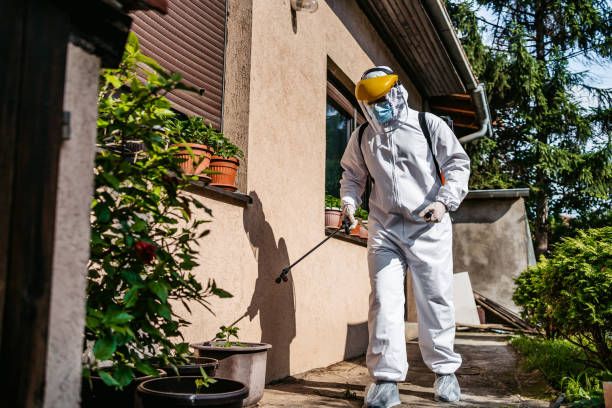 Best Pest Removal Services  in Barbourville, KY
