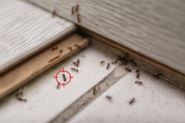 Barbourville, KY Pest Control Company