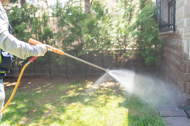 Best Pest Control for Homes  in Barbourville, KY