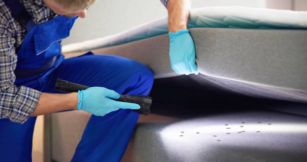 Best Flea Control Services  in Barbourville, KY