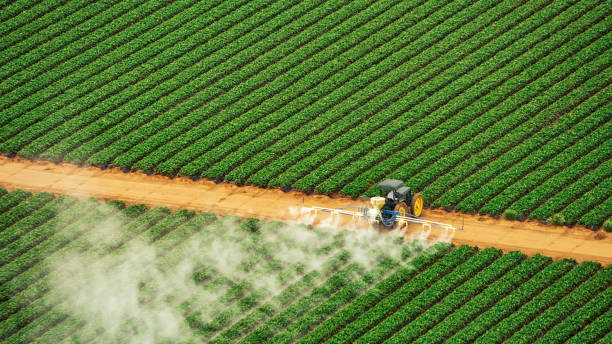 Best Mosquito Control Services  in Barbourville, KY