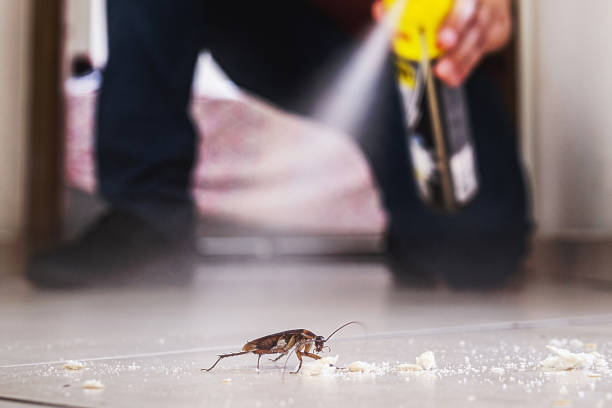 Barbourville, KY Pest Control Company