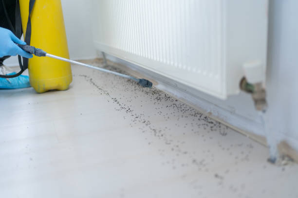 Best Pest Inspection Near Me  in Barbourville, KY