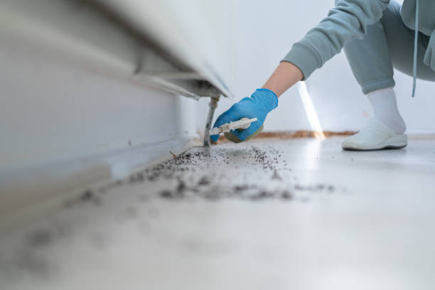Best Exterminator Services  in Barbourville, KY