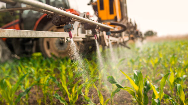 Best Best Pest Control Companies  in Barbourville, KY